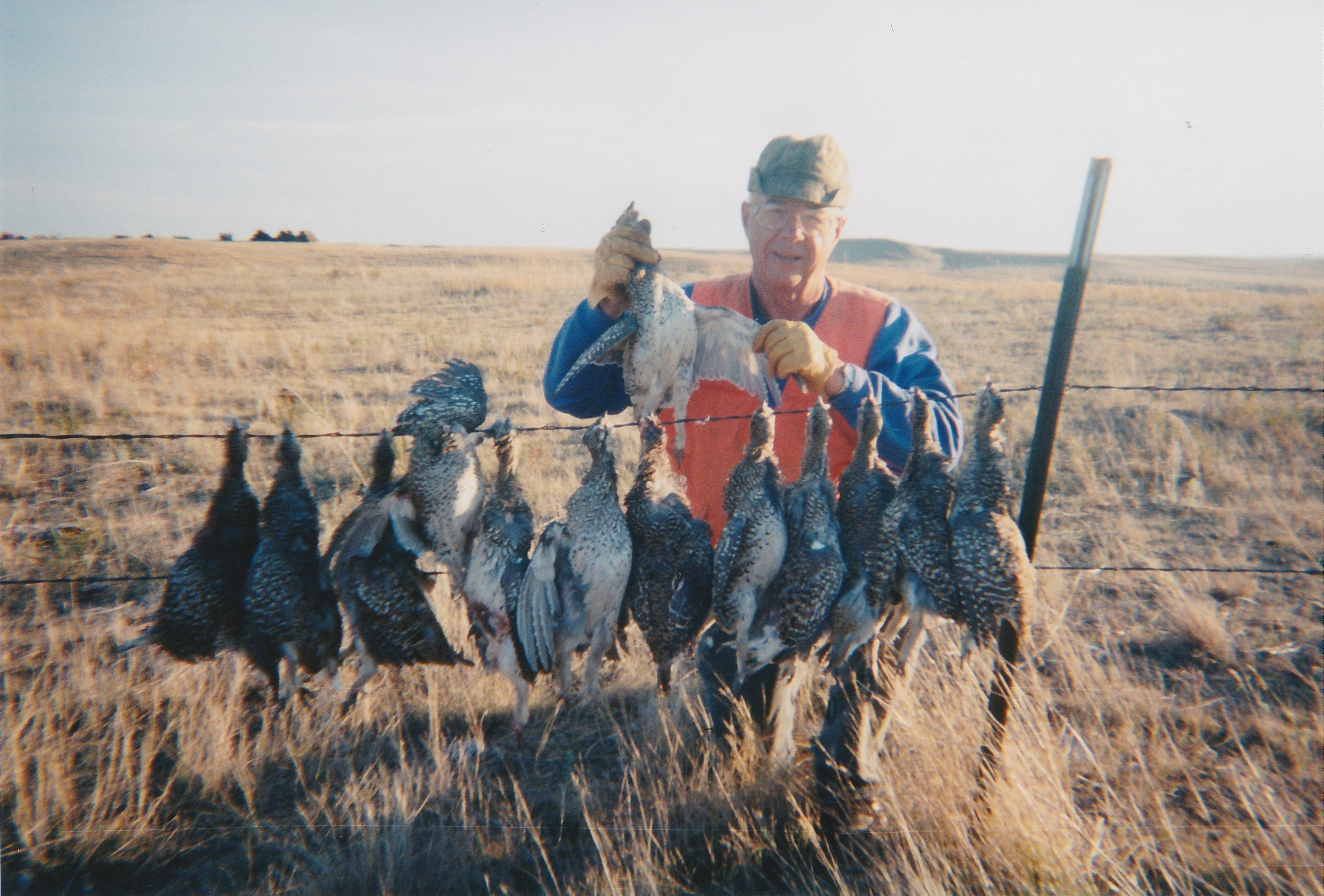 More bagged birds