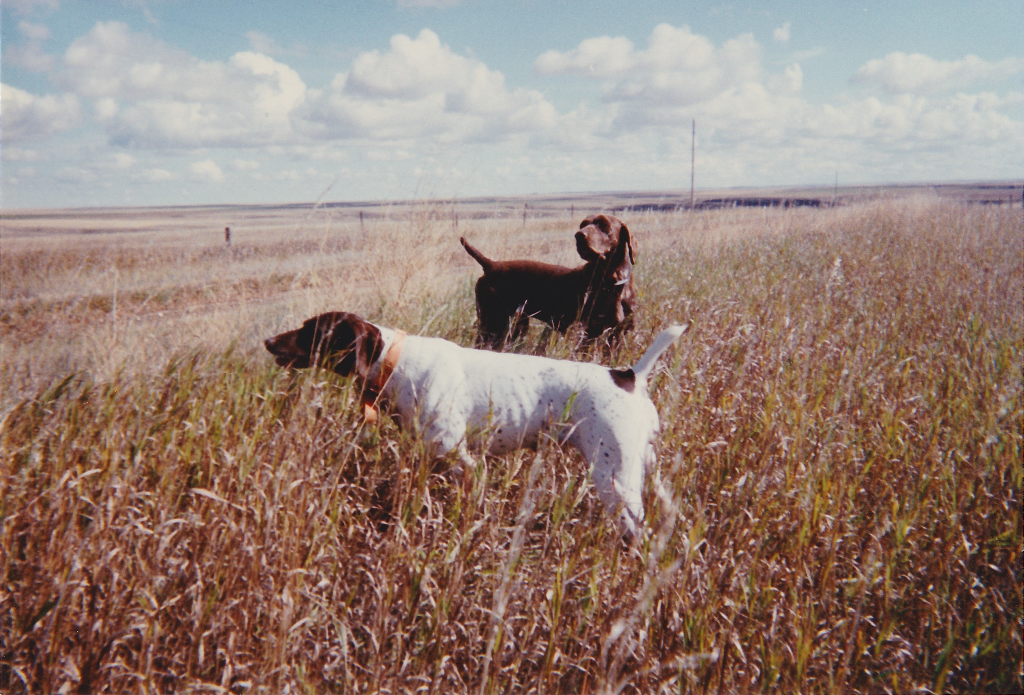 Maggie and Lou